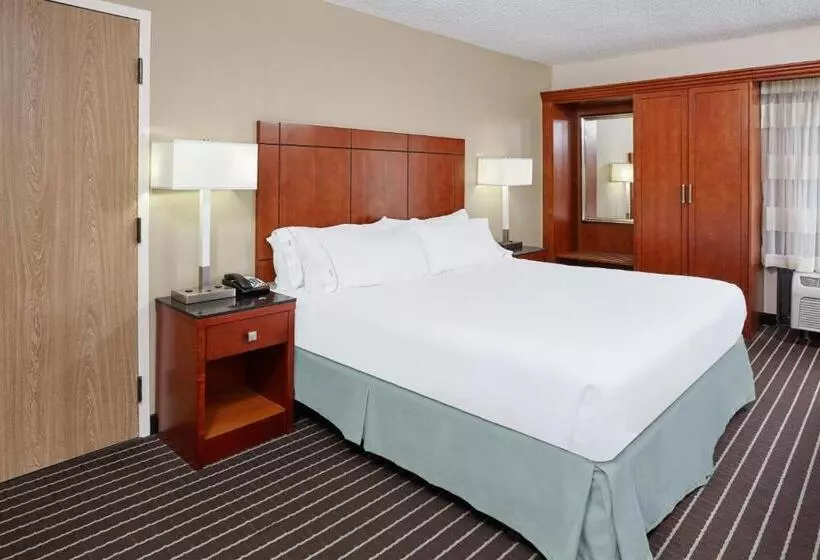 身障者適用キングサイズベッドルーム, Holiday Inn Express Hotels  Hampton, An Ihg