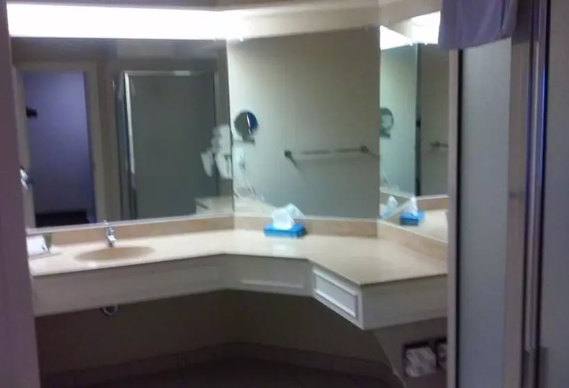 エクゼクティブスイート, Imperial Swan Hotel And Suites Lakeland