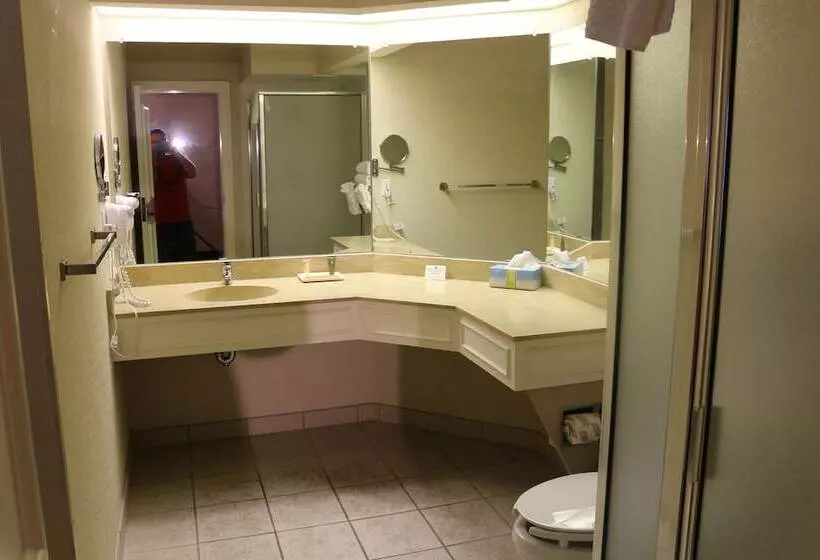 エクゼクティブスイート, Imperial Swan Hotel And Suites Lakeland