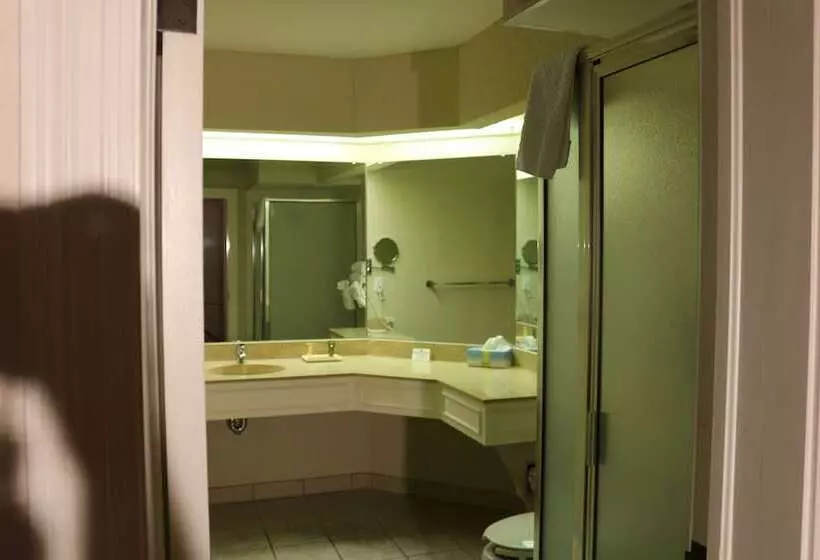 エクゼクティブスイート, Imperial Swan Hotel And Suites Lakeland