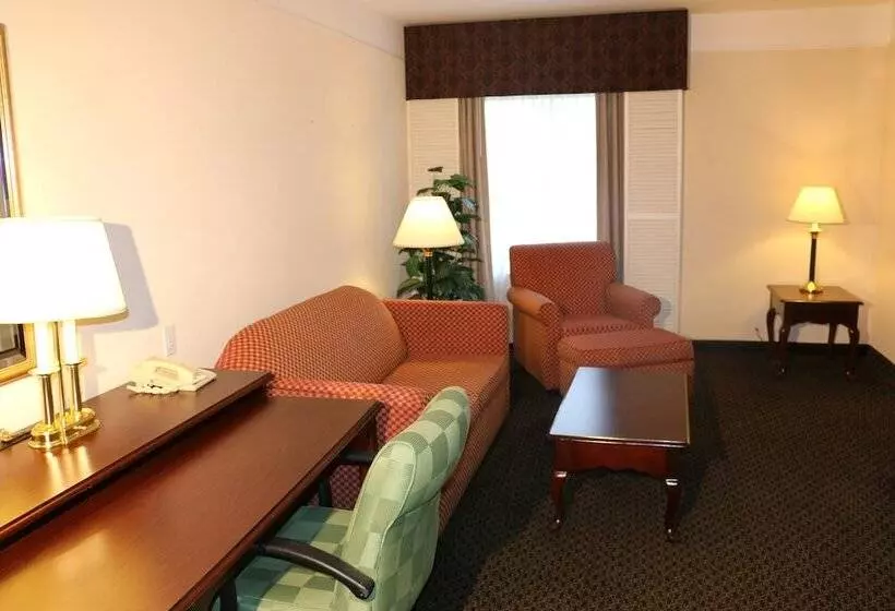 エクゼクティブスイート, Imperial Swan Hotel And Suites Lakeland