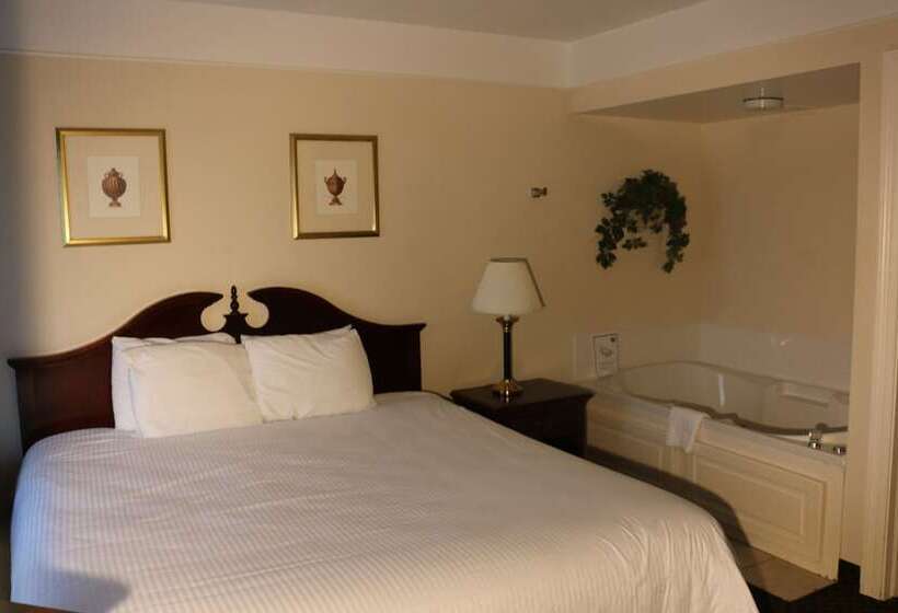 סוויטה אקזקיוטיב, Imperial Swan Hotel And Suites Lakeland