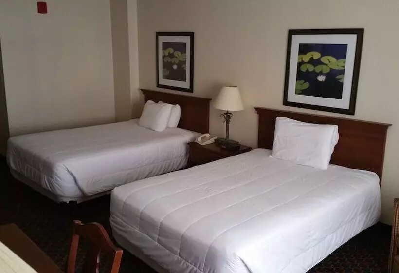 2ダブルベッドのスタンダードルーム, Imperial Swan Hotel And Suites Lakeland
