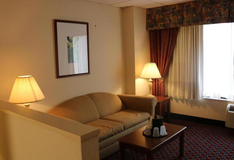 غرفة قياسية سرير كينج, Imperial Swan Hotel And Suites Lakeland