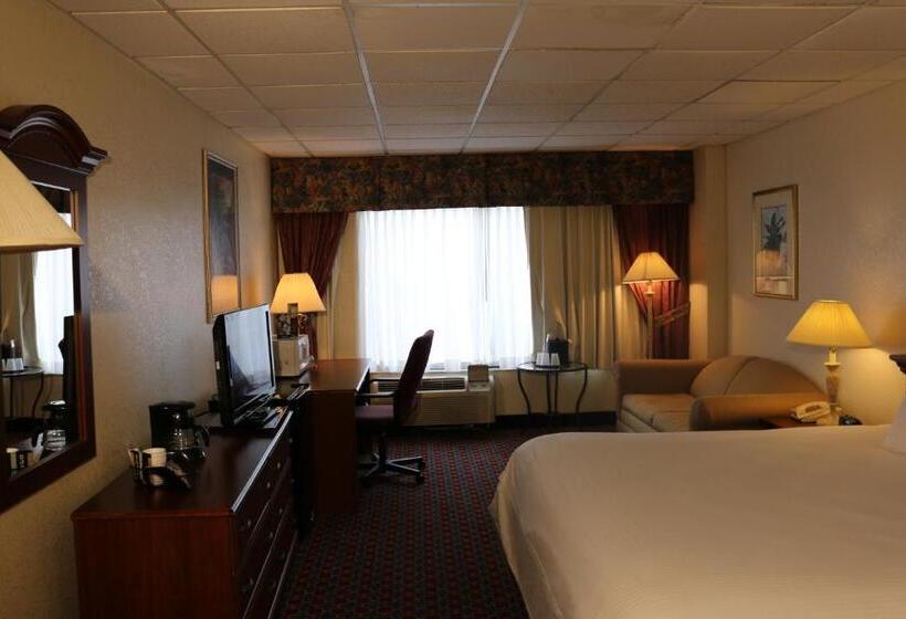 חדר סטנדרט עם מיטת קינג, Imperial Swan Hotel And Suites Lakeland