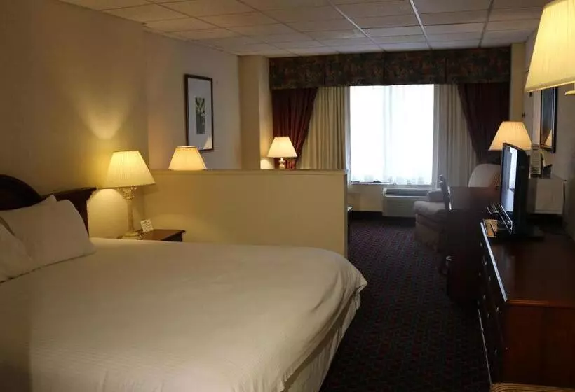 キングサイズベッドのスタンダードルーム, Imperial Swan Hotel And Suites Lakeland