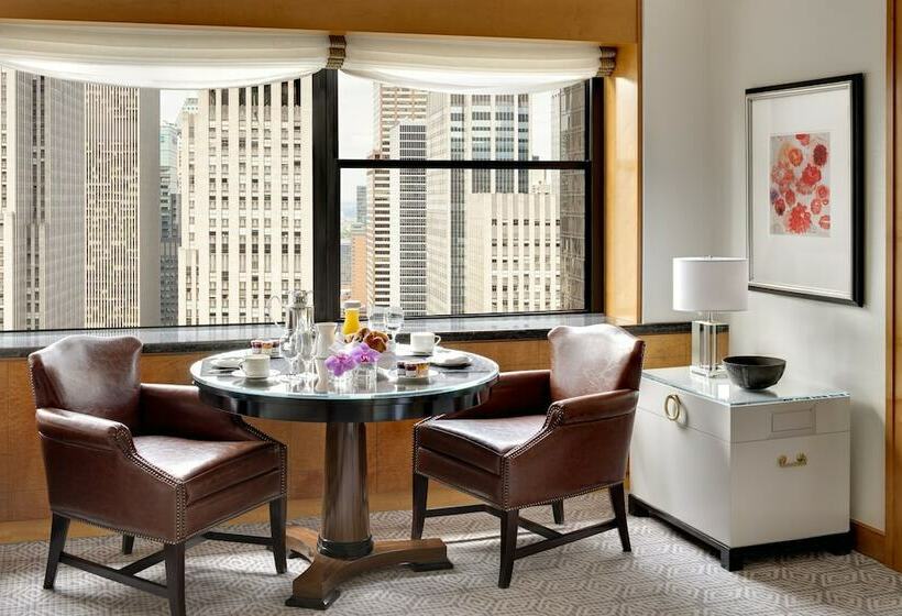 غرفه قياسيه سريرين مزدوجين, Lotte New York Palace