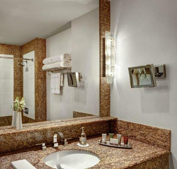 إستوديو قياسى ذو إطلالة, Lotte New York Palace