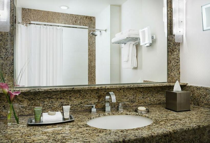 غرفة قياسية لذوى الاحتياجات الخاصة, Lotte New York Palace