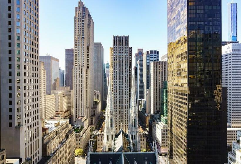 适合残疾人士使用的带双人床的标准间, Lotte New York Palace