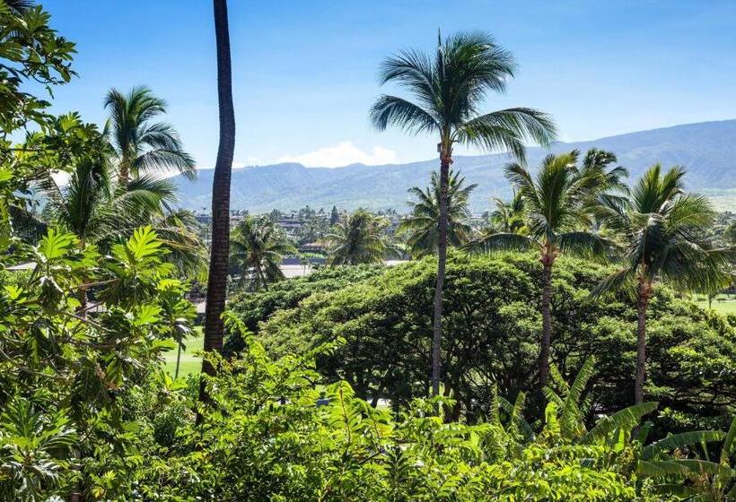חדר סטנדרט, Sheraton Maui Resort & Spa