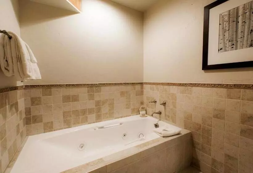 اتاق لوکس با تخت بزرگ, Stein Eriksen Lodge Deer Valley