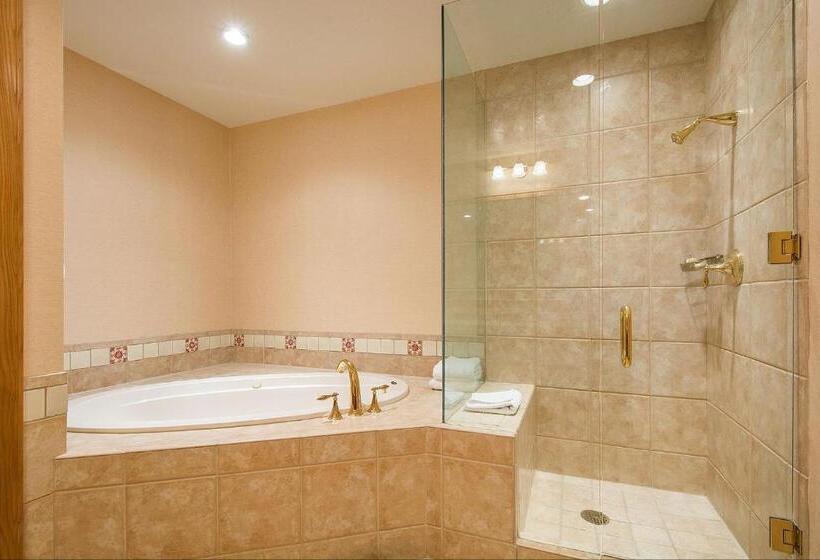 غرفة ديلوكس مزوَّدة بجاكوزي, Stein Eriksen Lodge Deer Valley