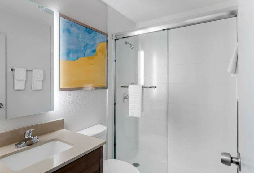 带2个双人床的标准工作室, Comfort Inn Detroit Troy