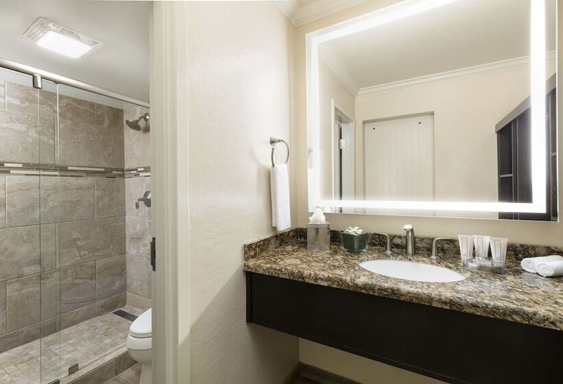 חדר דלוקס, The Scottsdale Plaza Resort & Villas