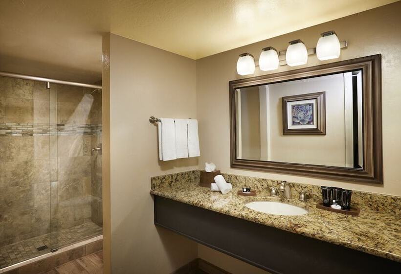 スイート, The Scottsdale Plaza Resort & Villas