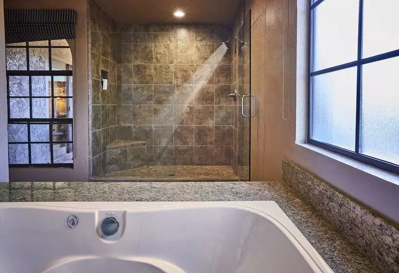 اتاق استاندارد, The Scottsdale Plaza Resort & Villas