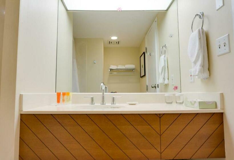 غرفة قياسية, Oasis Hotel Waikiki