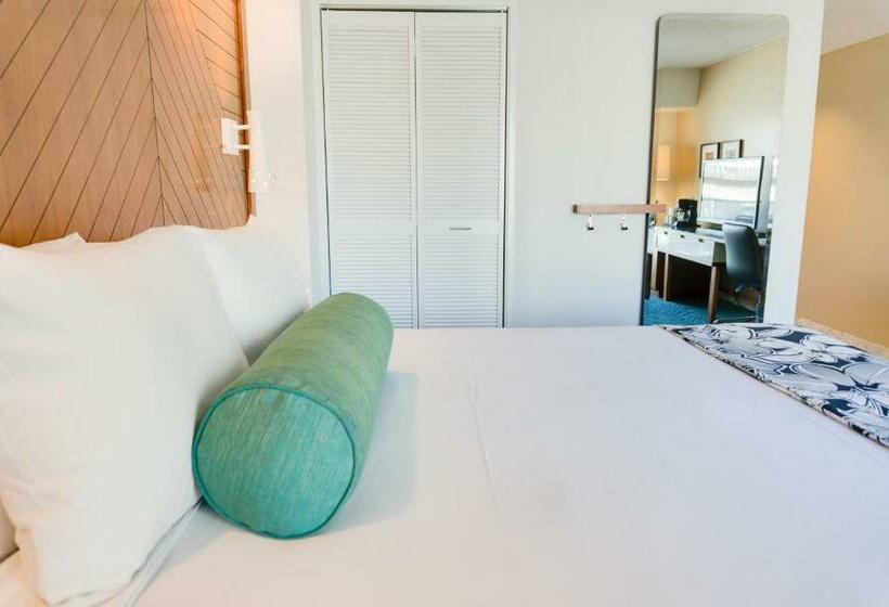 غرفة قياسية, Oasis Hotel Waikiki