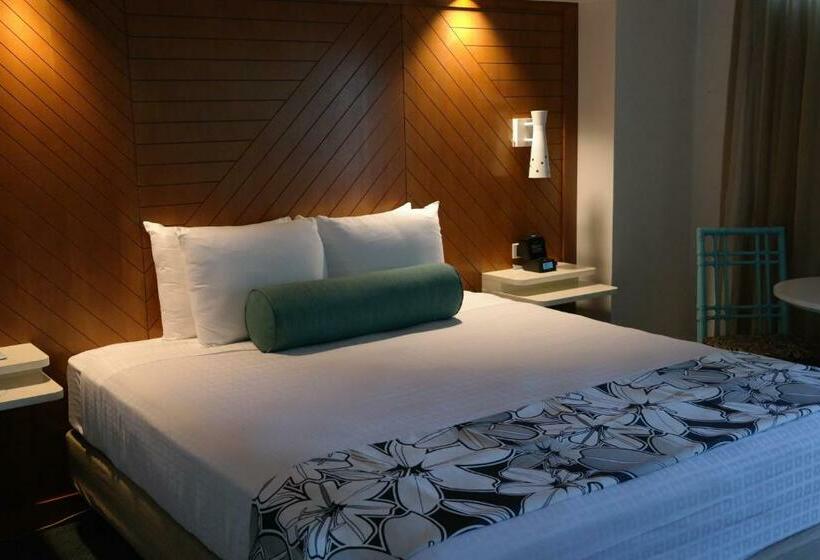스탠다드 룸, Oasis Hotel Waikiki