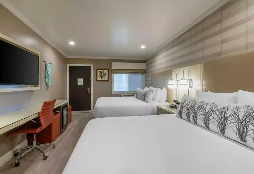 スタンダードルーム, Bluestem Hotel Torrance Los Angeles, Ascend Hotel Collection