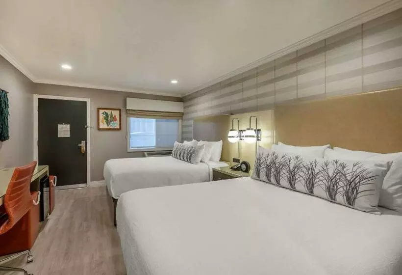 スタンダードルーム, Bluestem Hotel Torrance Los Angeles, Ascend Hotel Collection