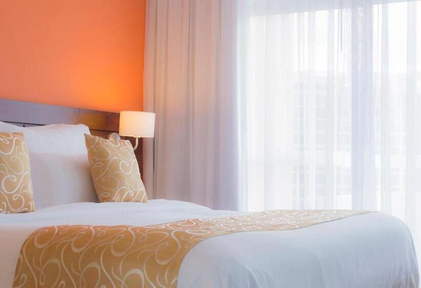 سوییت, Continental Altamira