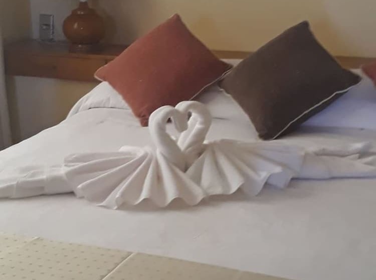 Номер Executive, Klee