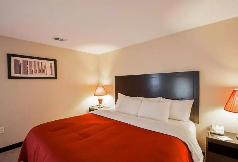 キングサイズベッドのスタンダードルーム, Quality Inn Near Potomac Mills