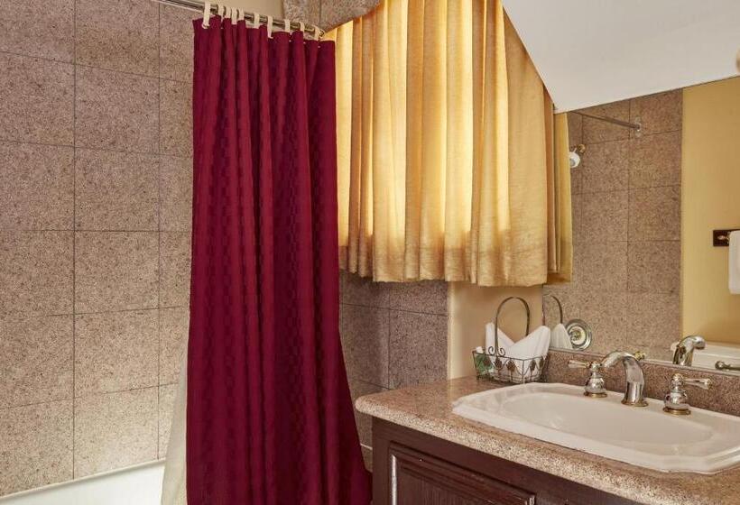 اتاق لوکس با تخت بزرگ, Queen Anne