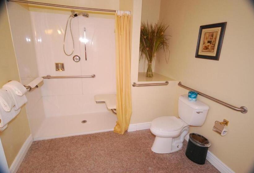 اتاق دلوکس مخصوص معلولین, Queen Anne