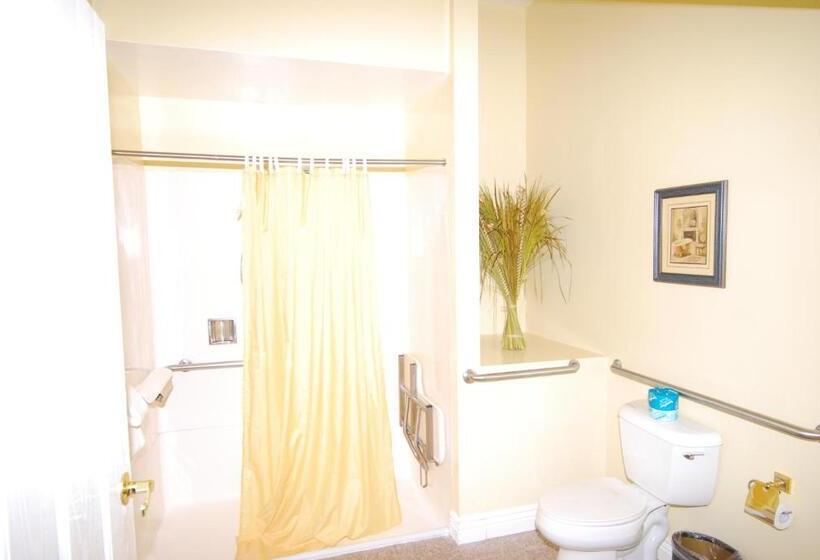 اتاق دلوکس مخصوص معلولین, Queen Anne