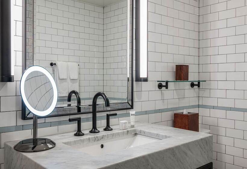 장애인용 디럭스룸, Theodore