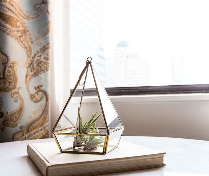 장애인용 디럭스룸, Theodore