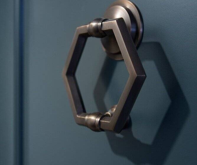 장애인용 디럭스룸, Theodore