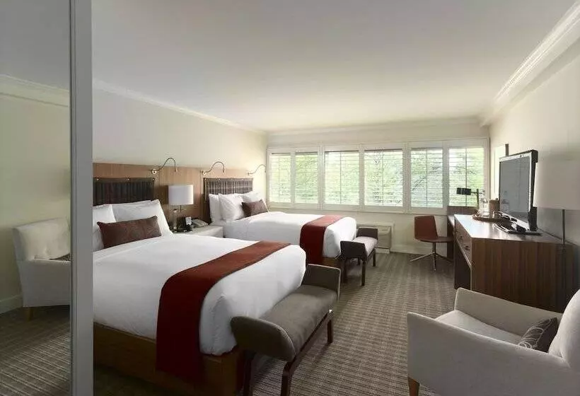 デラックスルーム, Topnotch Resort