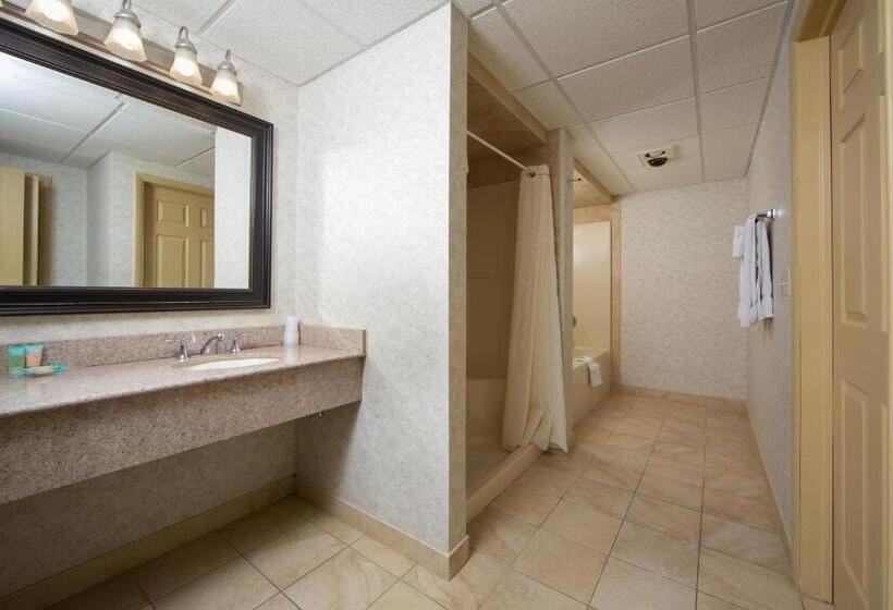 2ベッドルームアパートメント, Villa Roma Resort And Conference Center