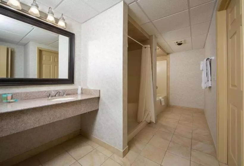 ２ベッドルームアパートメント, Villa Roma Resort And Conference Center
