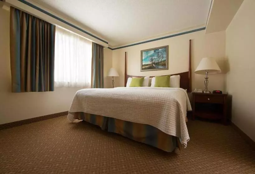 ２ベッドルームアパートメント, Villa Roma Resort And Conference Center