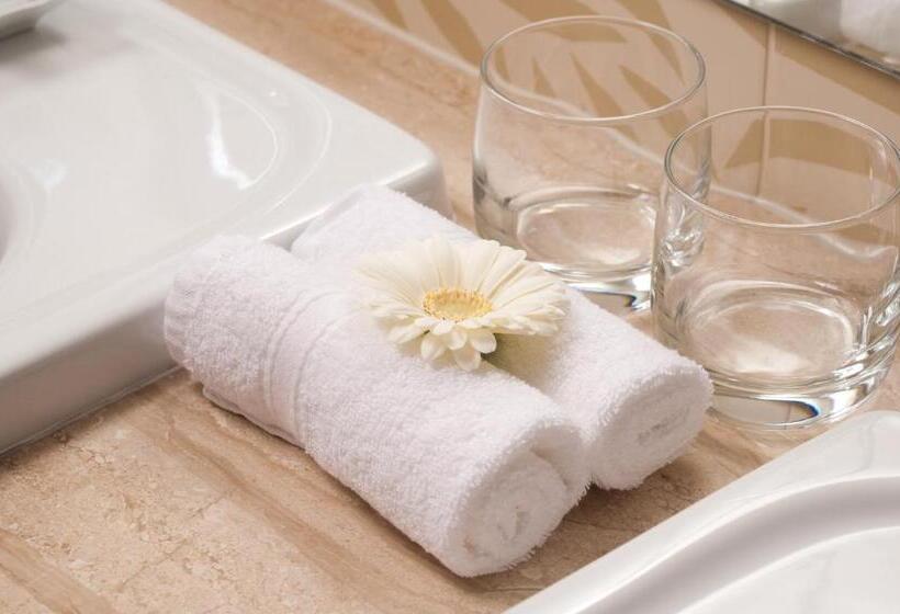 اتاق سوپریور یک تخته, Grand Hotel Sava Superior