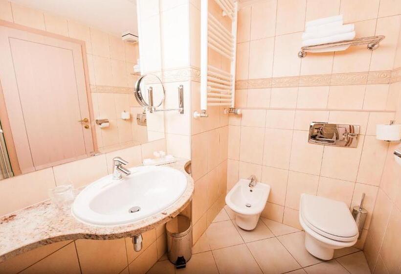 اتاق سوپریور یک تخته, Grand Hotel Sava Superior