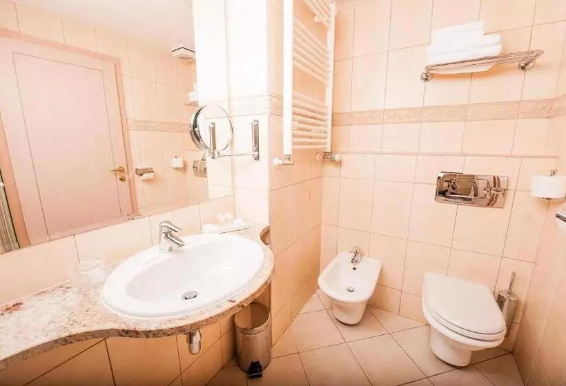 اتاق سوپریور یک تخته, Grand Hotel Sava Superior