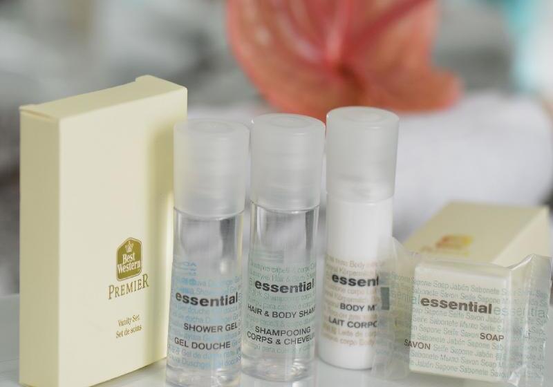 اتاق اکونومی یک تخته, Best Western Premier Hotel Slon