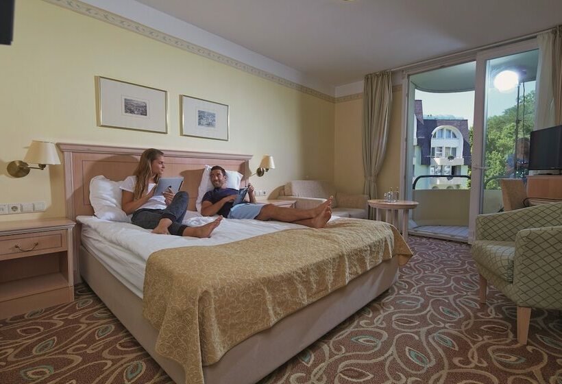 اتاق سوپریور یک تخته, Grand Hotel Sava Superior