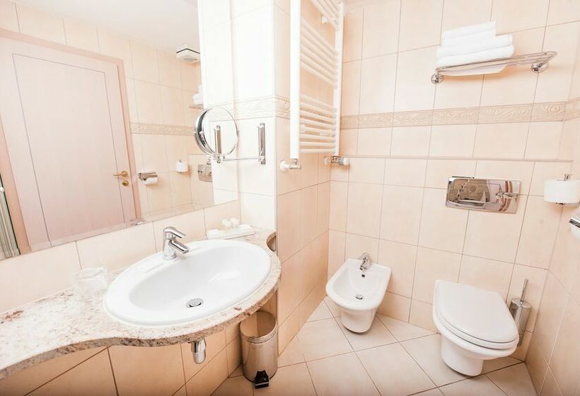 اتاق سوپریور یک تخته, Grand Hotel Sava Superior