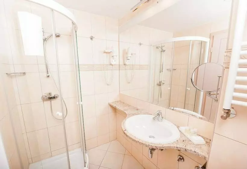 اتاق سوپریور یک تخته, Grand Hotel Sava Superior