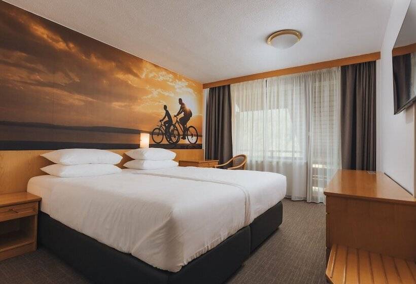 高级大房间, Kompas