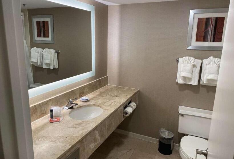 身障者適用スタンダードルーム, Laguardia Plaza