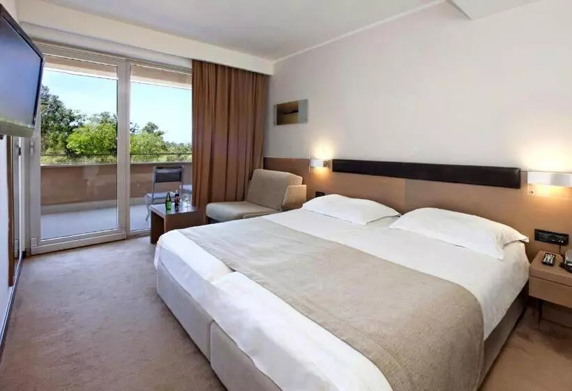 Classic room with balcony, Molindrio Plava Laguna