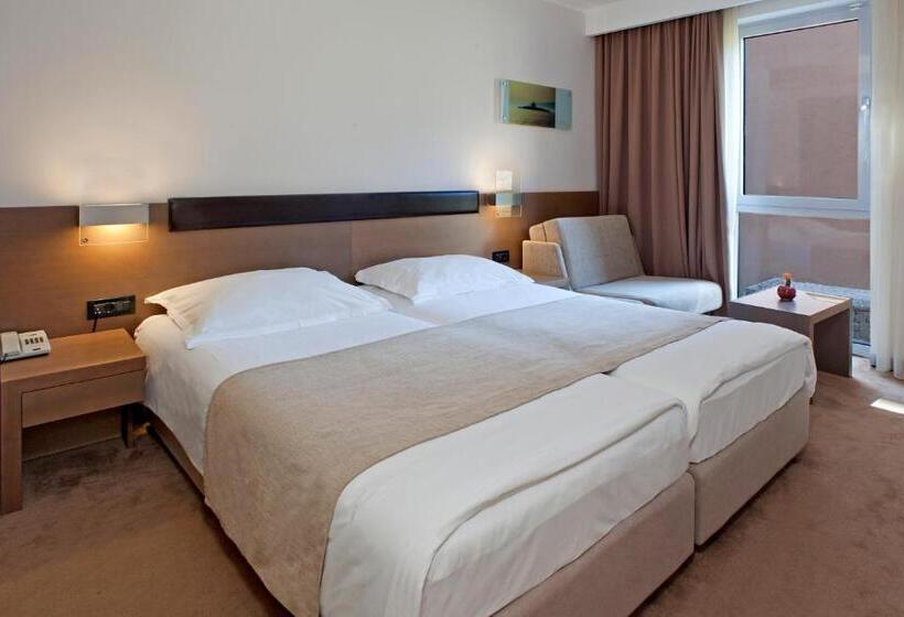 이코노미 룸, Molindrio Plava Laguna